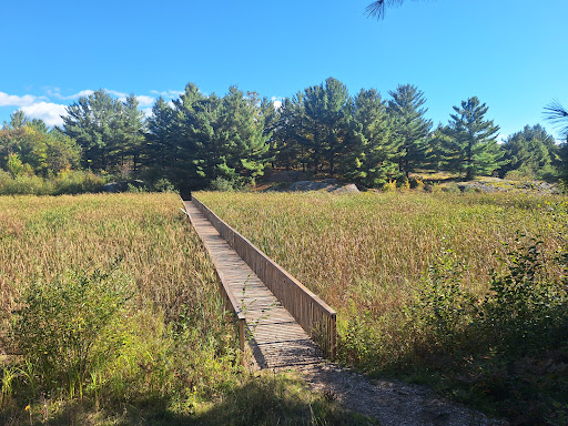 Photo of Laurier Woods Conservation Area - Brule St, North Bay, ON P1A 3Z5